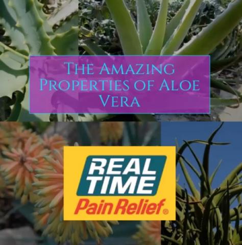 aloe-vera