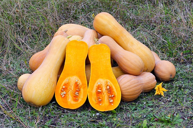 butternut-squash-health-benefits